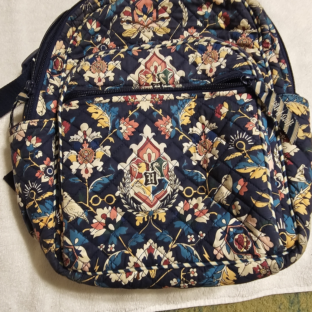 Harry Potter Mini Backpack - Blue and Cream